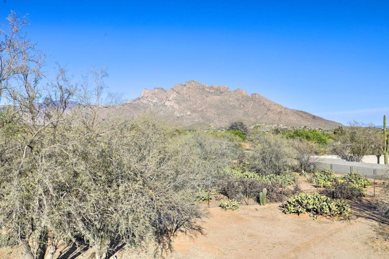 Oro Valley Retreat With Pool, Spa And Rooftop Views! Εξωτερικό φωτογραφία